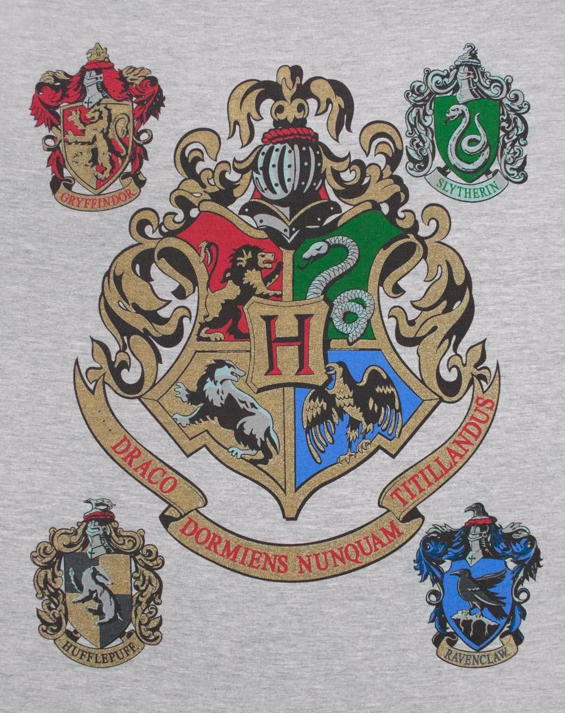 Harry Potter Hogwarts House Crests Men's Raglan Top