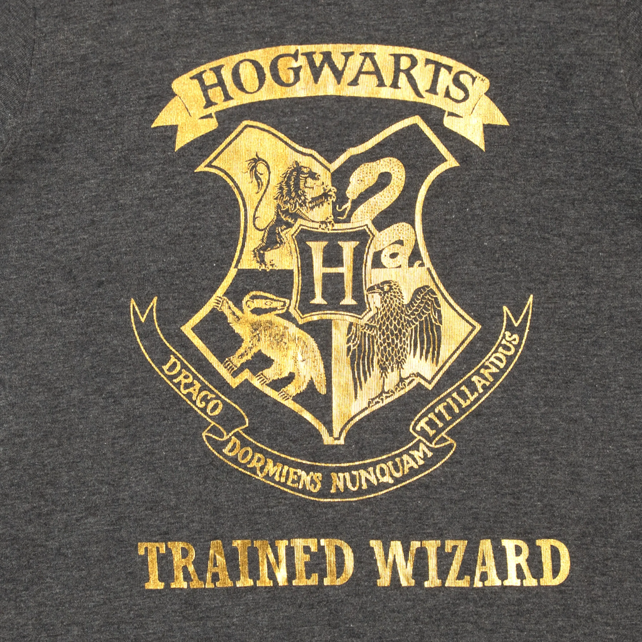 Harry Potter T-Shirt 2 Pack