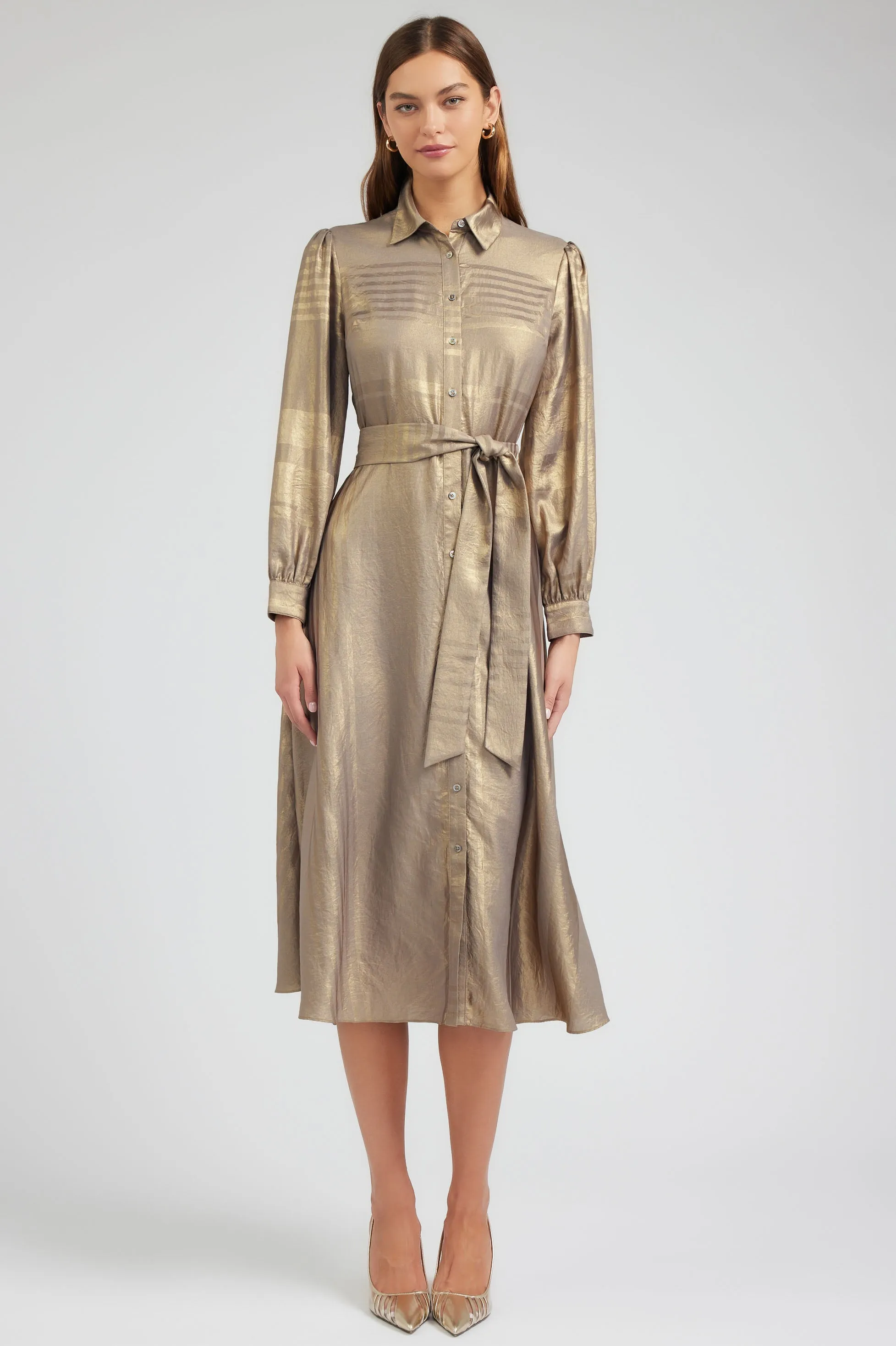 Metallic Buttondown Dress