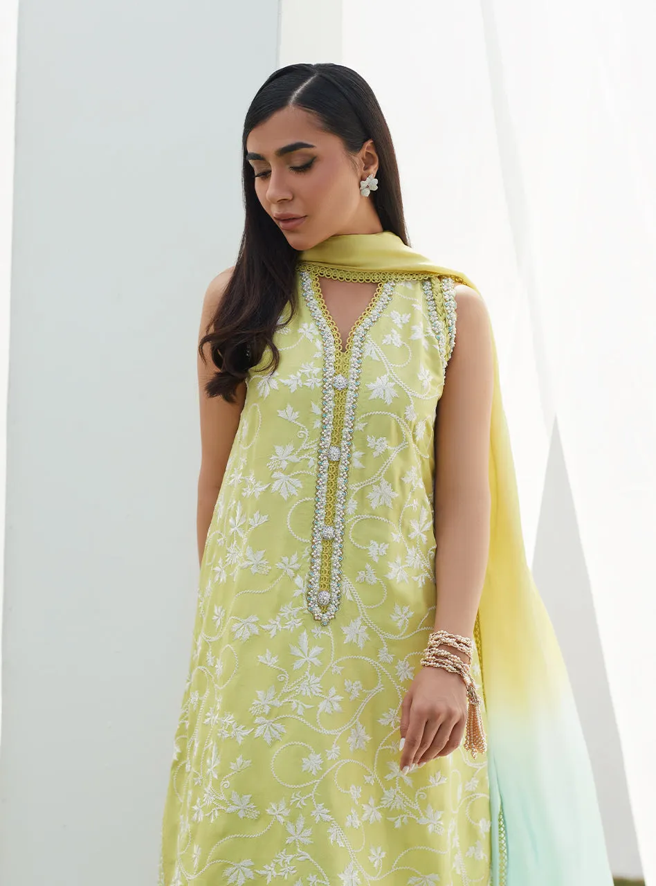 Pear Embroidered Silk Shirt and Dupatta