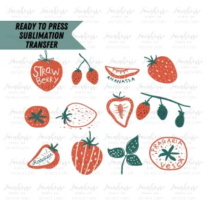 Ready To Press, Sublimation Transfers, DIY Shirt, Sublimation, Transfer Ready To Press, Strawberries, Chic BOHO Spring Heat Transfer Design