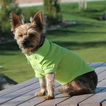 Solid Dog Polo Shirt - Green Flash